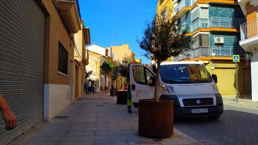 El pino, ya plantado, junto al vehículo de la brigada.