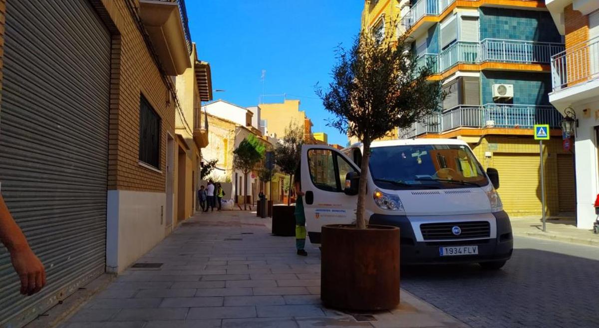 El pino, ya plantado, junto al vehículo de la brigada.