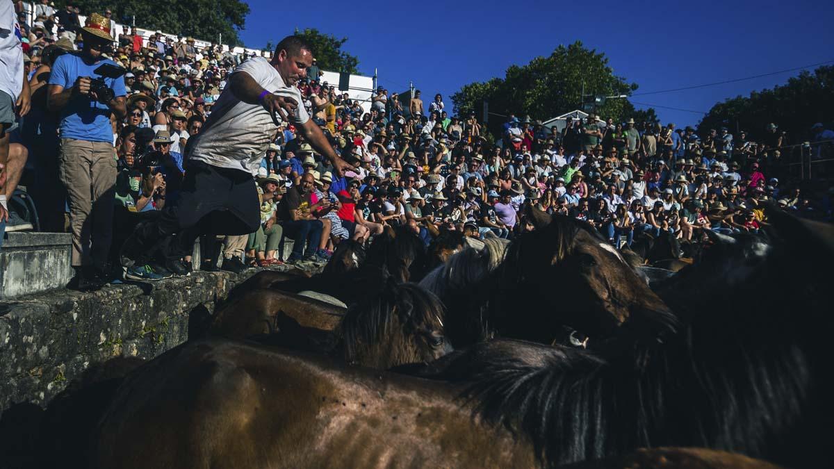  A Rapa das Bestas que se ha celebrado hoy  en la localidad pontevedresa de A Estrada, con una asistencia multitudinaria tras un año de parón por la pandemia.