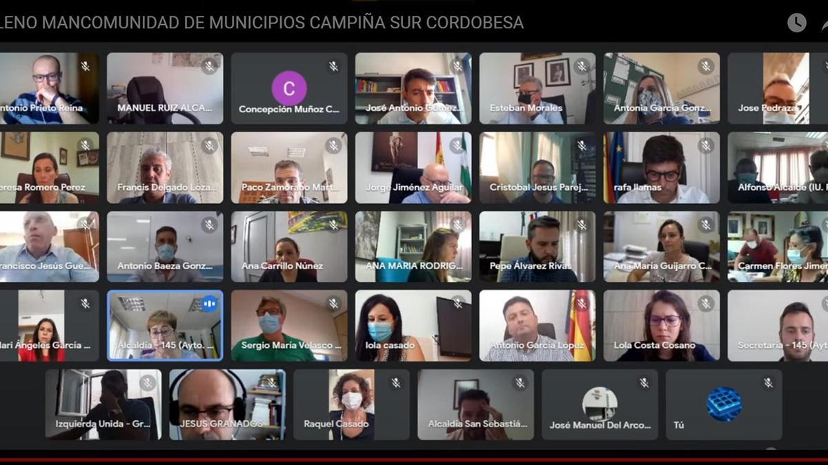 Pleno telemático de la Mancomunidad Campiña Sur