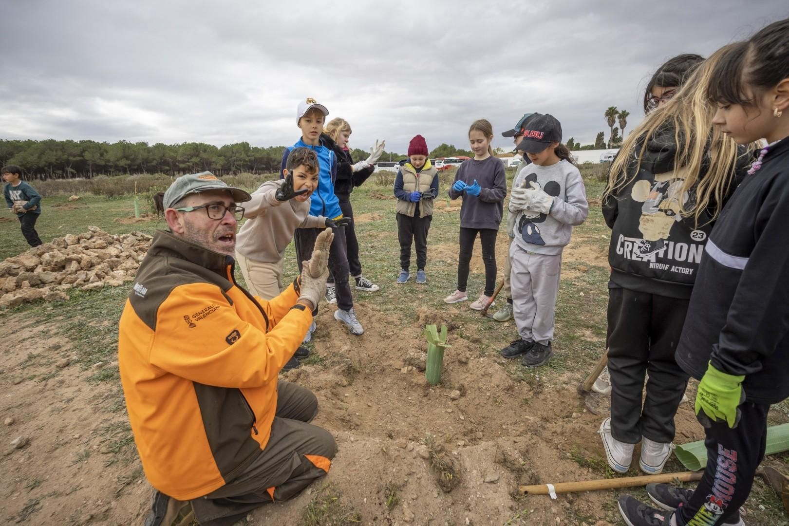 Jornada escolar plantación de especies autóctonas junto al parque natural de las lagunas de Torrevieja y La Mata