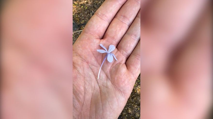 Rancio recuerda una infancia sin tele y con chucherías naturales