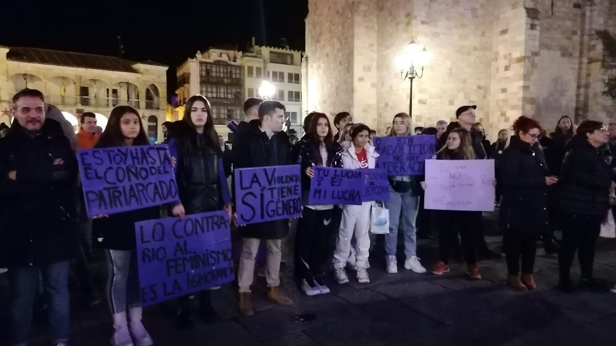 Manifestación del 25N en Zamora contra la violencia de género.