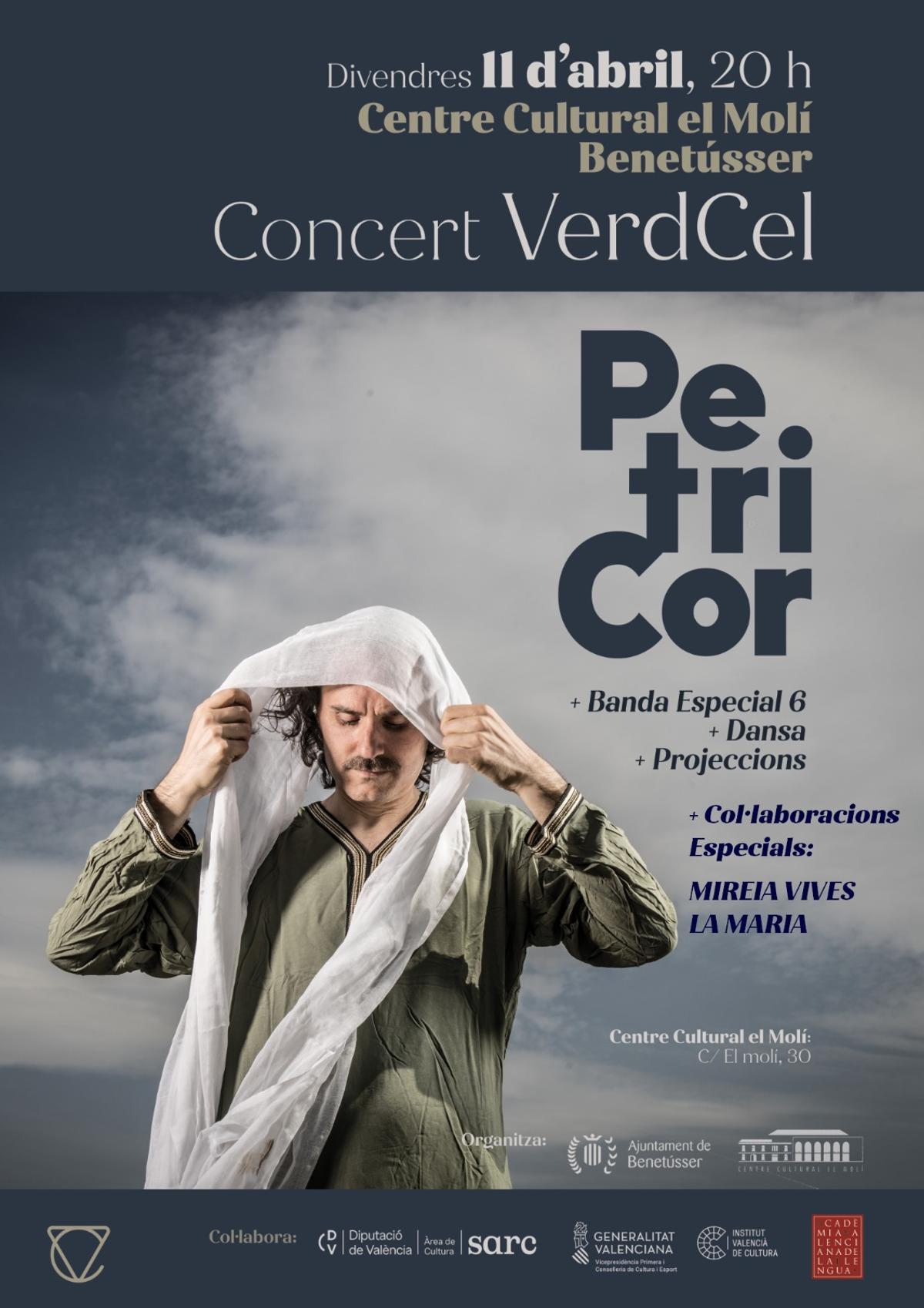 Cartel de Petricor, el concierto solidario.