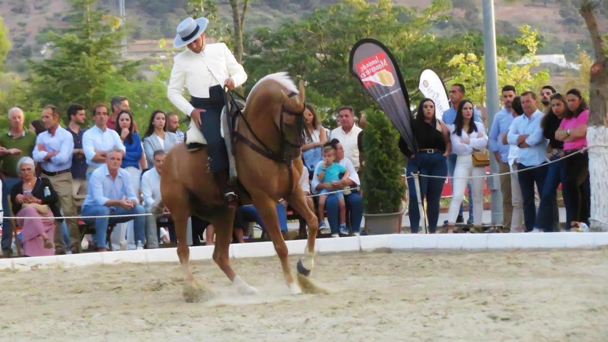 Imagen de una edición anterior del concurso de doma de Monesterio