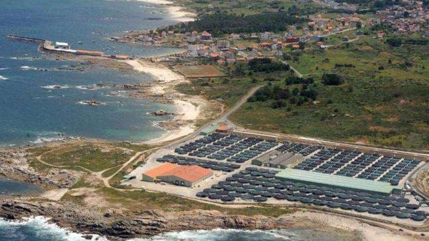 Vista aérea de una piscifactoría en las costa de Camariñas. / iñaki abella