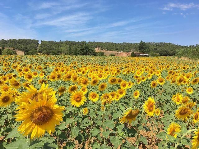 Les millors imatges de la Costa Brava dels nostres lectors