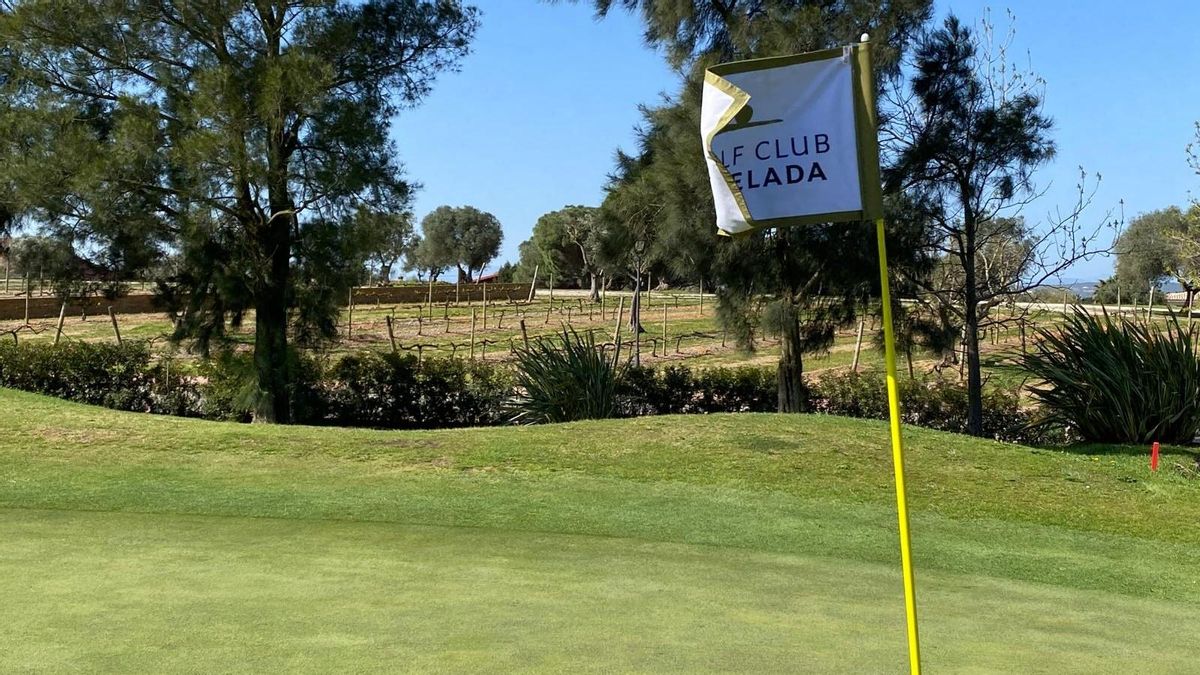 El 'green' del hoyo 9 de Golf Club Peralada, con las viñas al fondo.