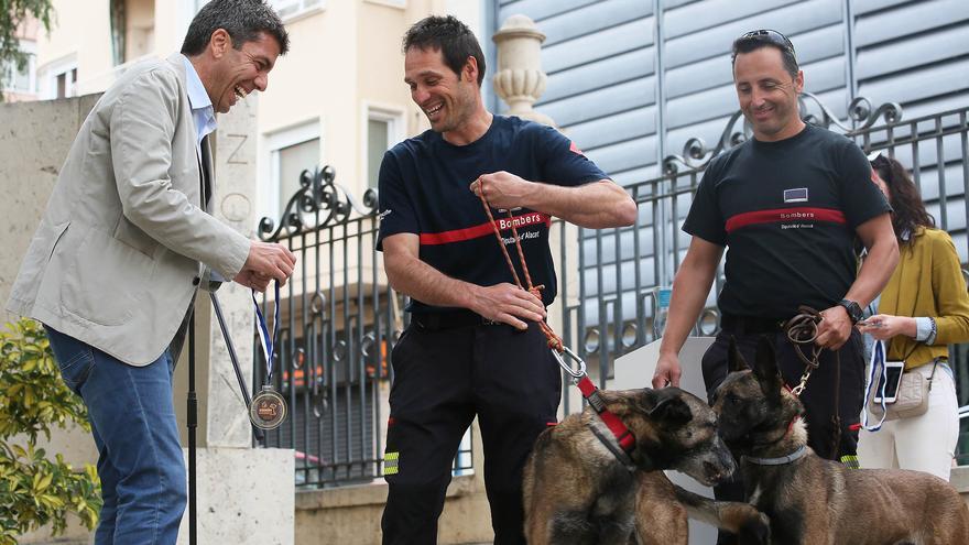 La Diputación activa un sello &quot;Pet Friendly&quot; para impulsar el turismo con mascotas en Alicante