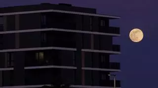 Así se ha visto en Mallorca la luna llena de enero o luna de lobo, el primer plenilunio de 2024
