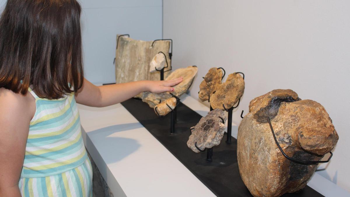 El Paleontològic recibe a sus primeros visitantes
