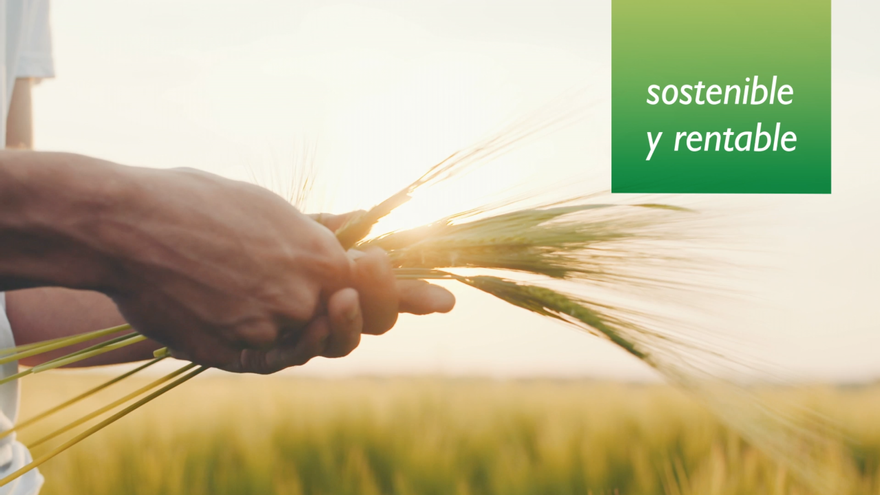 Soluciones eficaces para los agricultores