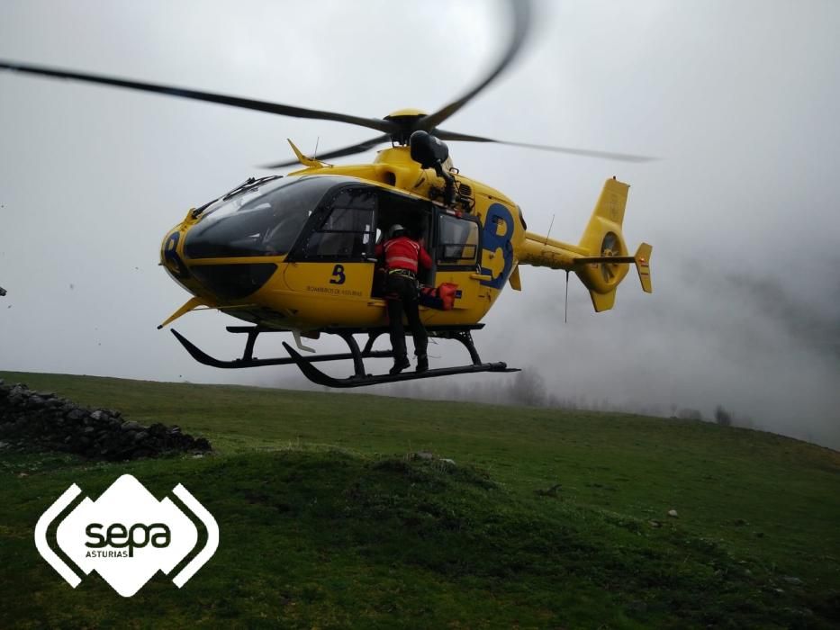 Rescate de montaña en la majada de La Terenosa (Cabrales)