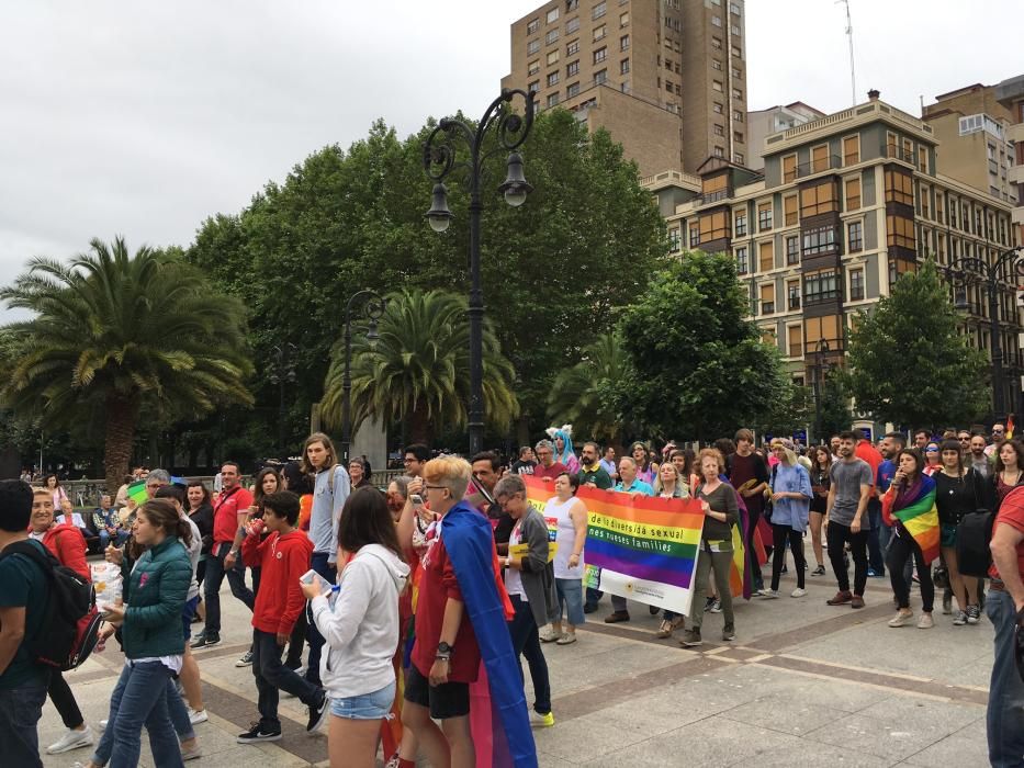 Manifestación del Orgullín del Norte.