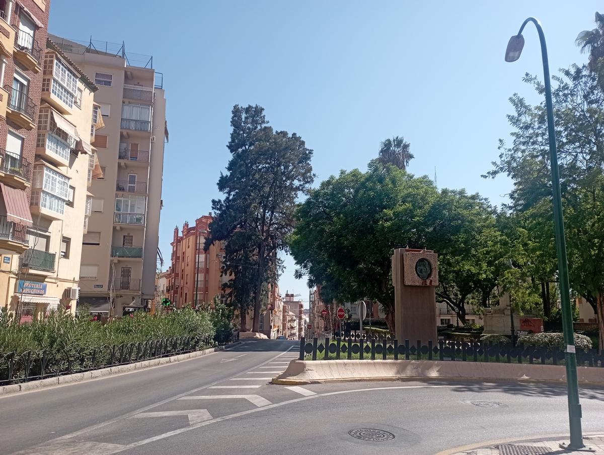 La casuarina frente a la plaza de Capuchinos.