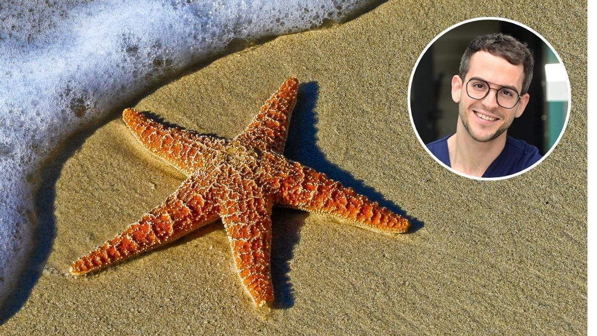 El doctor Felices sobre cómo encender el aire acondicionado de tu cuerpo: “Hacer la estrella de mar y ponerte crema hidratante hace que estés más fresco”
