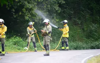 Vecinos alertan de un centenar de fincas en riesgo de incendio en Moaña
