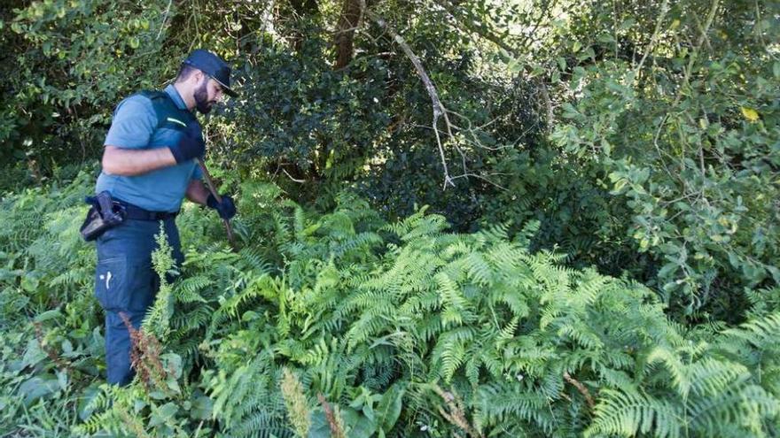 Un agente de la Guardia Civil durante la búsqueda de Diana Quer en una zona boscosa.