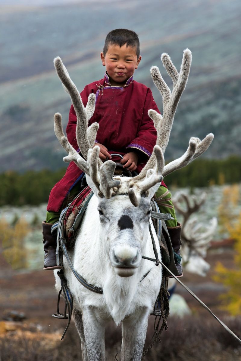 El país que Sergi y Dani recorrieron a caballo es Mongolia.