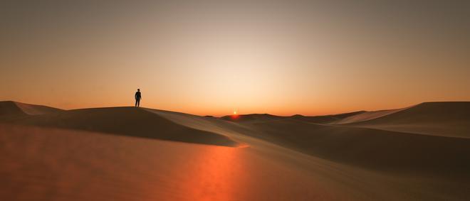 Como sobrevivir al desierto