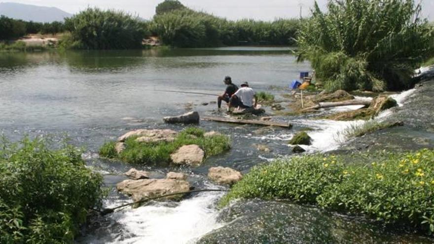 Un grupo de pescadores en el Azud de la Marquesa, donde el agua tiene un gran contenido salino, que también perjudica al regadío.