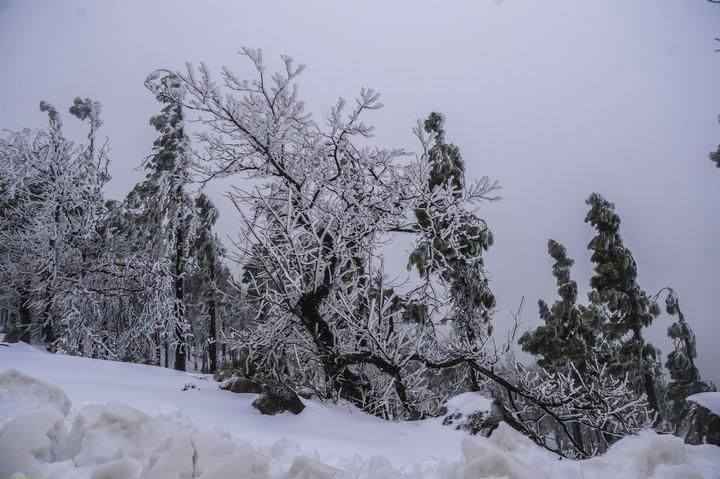 NIEVE EN LA CUMBRE