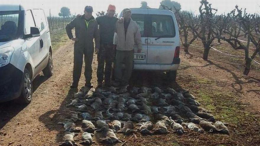 El Gobierno de España ve inconstitucional la caza del conejo que autorizó Aragón