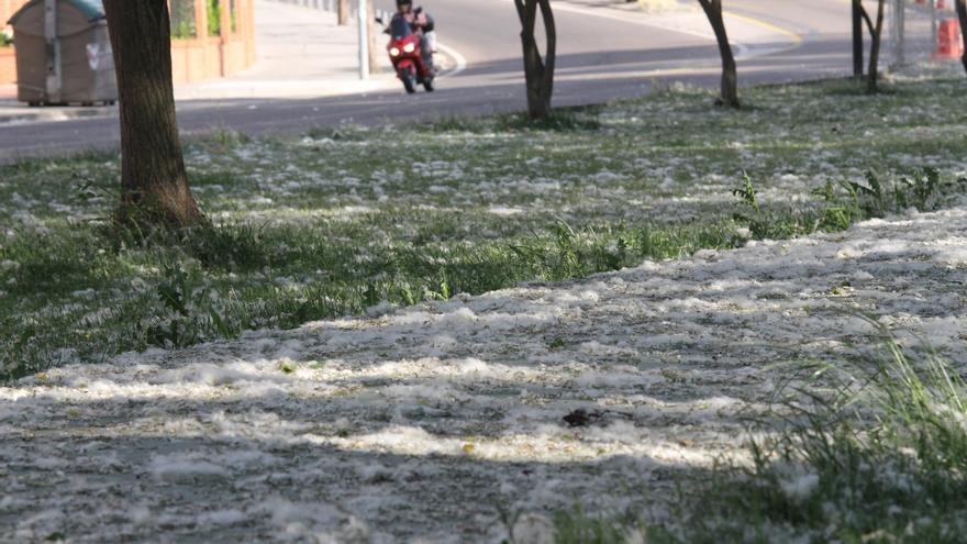 Zamora entra en la temporada de riesgo alto para alérgicos por el polen de las plantas