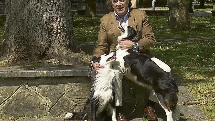 Alberto López-Asenjo, portavoz municipal del PP, con dos perros, en la campaña electoral del pasado mes de mayo.