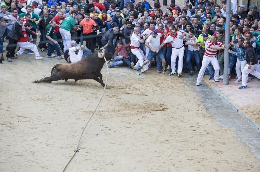 Enmaromado 2016: Lechugazo da la talla