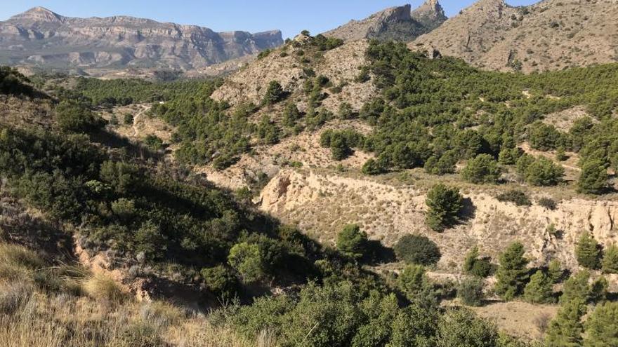 Vista panorámica del Paisaje Protegido donde se aprecian las estribaciones de la Sierra del Cid a la izquierda de la imagen y del Maigmó a la derecha