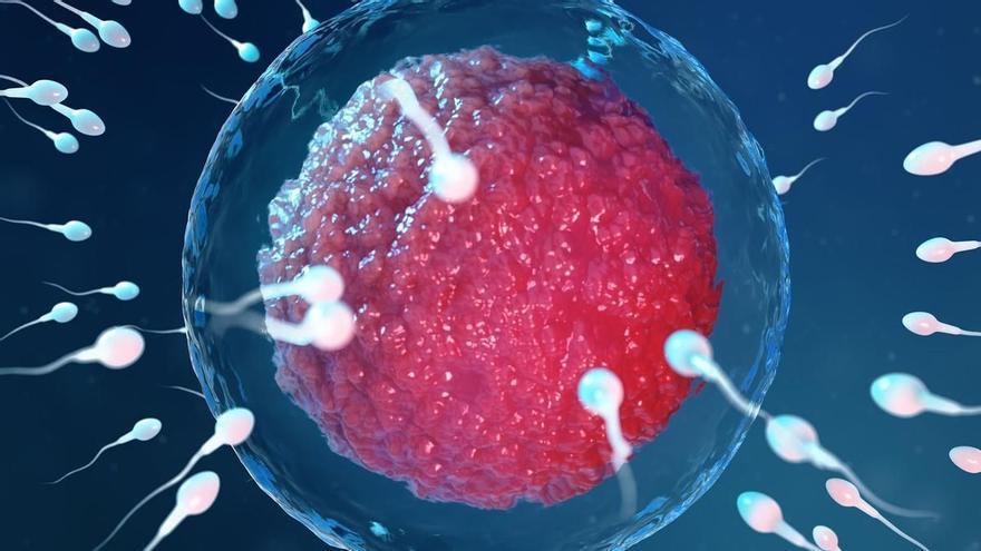 España, entre los países con menos fertilidad: el 10% de los bebés nace ya por reproducción asistida