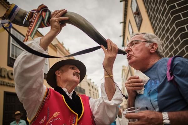 Romería de La Orotava 2019