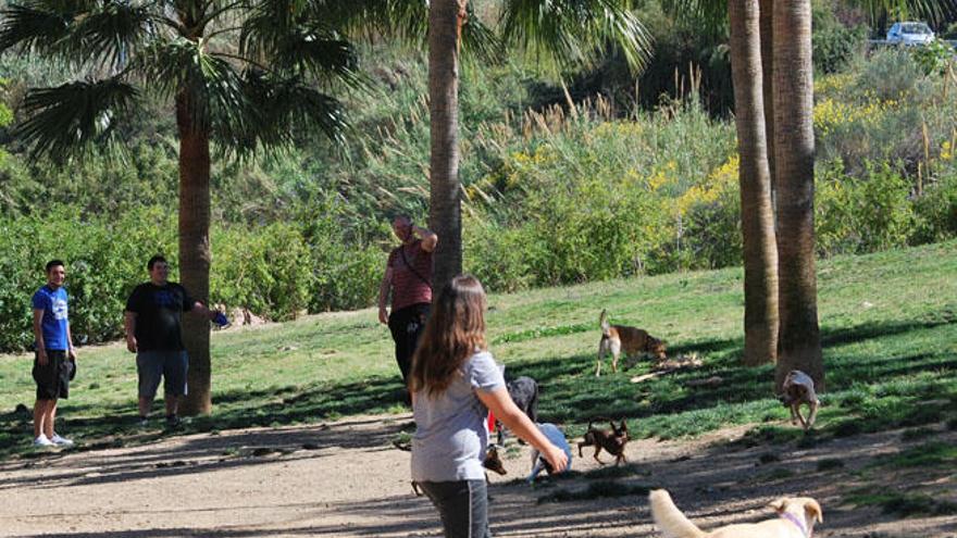 Los vecinos de Fuengirola disponen de sendos parques con zonas acotadas donde los perros pueden jugar tranquilamente con otros perros.