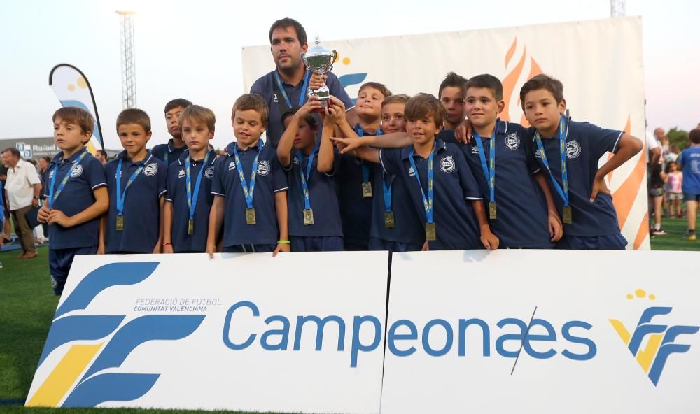 Campeones futbol 8