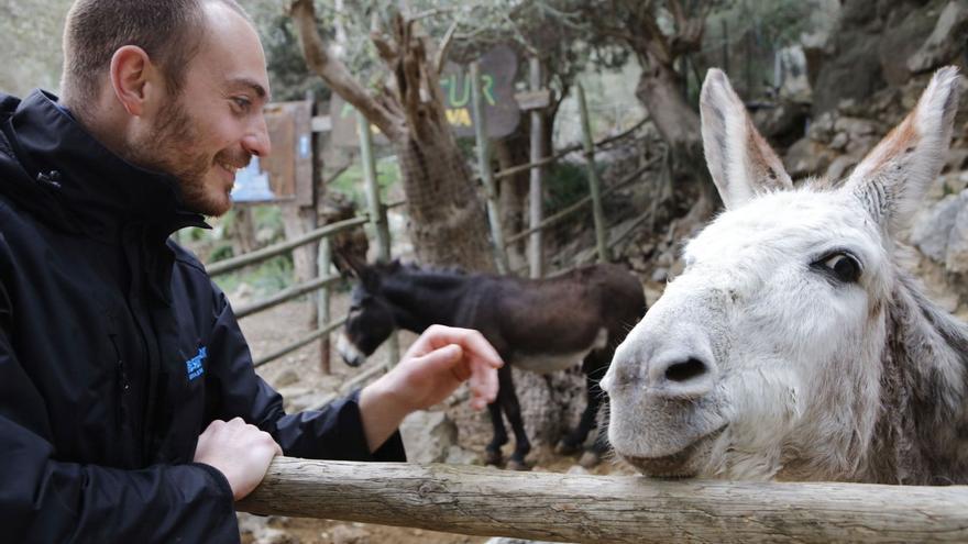 Abenteuer- und Naturpark in der Tramuntana auf Mallorca: Das sind die Pläne für den &quot;Reserva Park&quot;