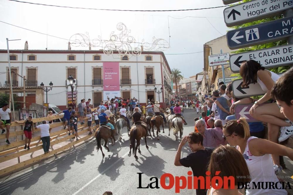 Séptimo encierro en Moratalla