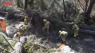 Catalunya activa la alerta por rachas de viento que superen los 125 km/h en el Pirineo y Tarragona
