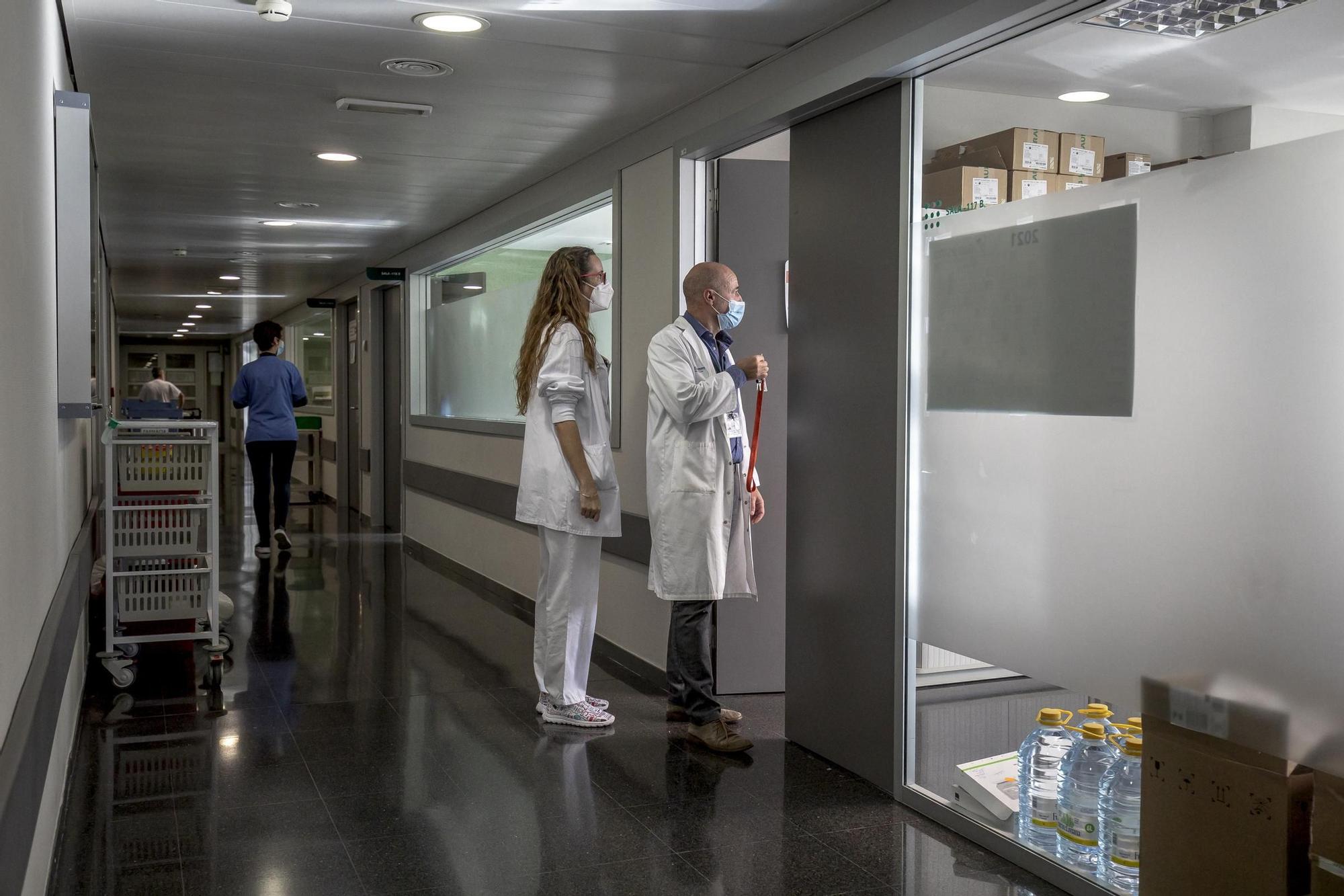 15 años de Son Espases