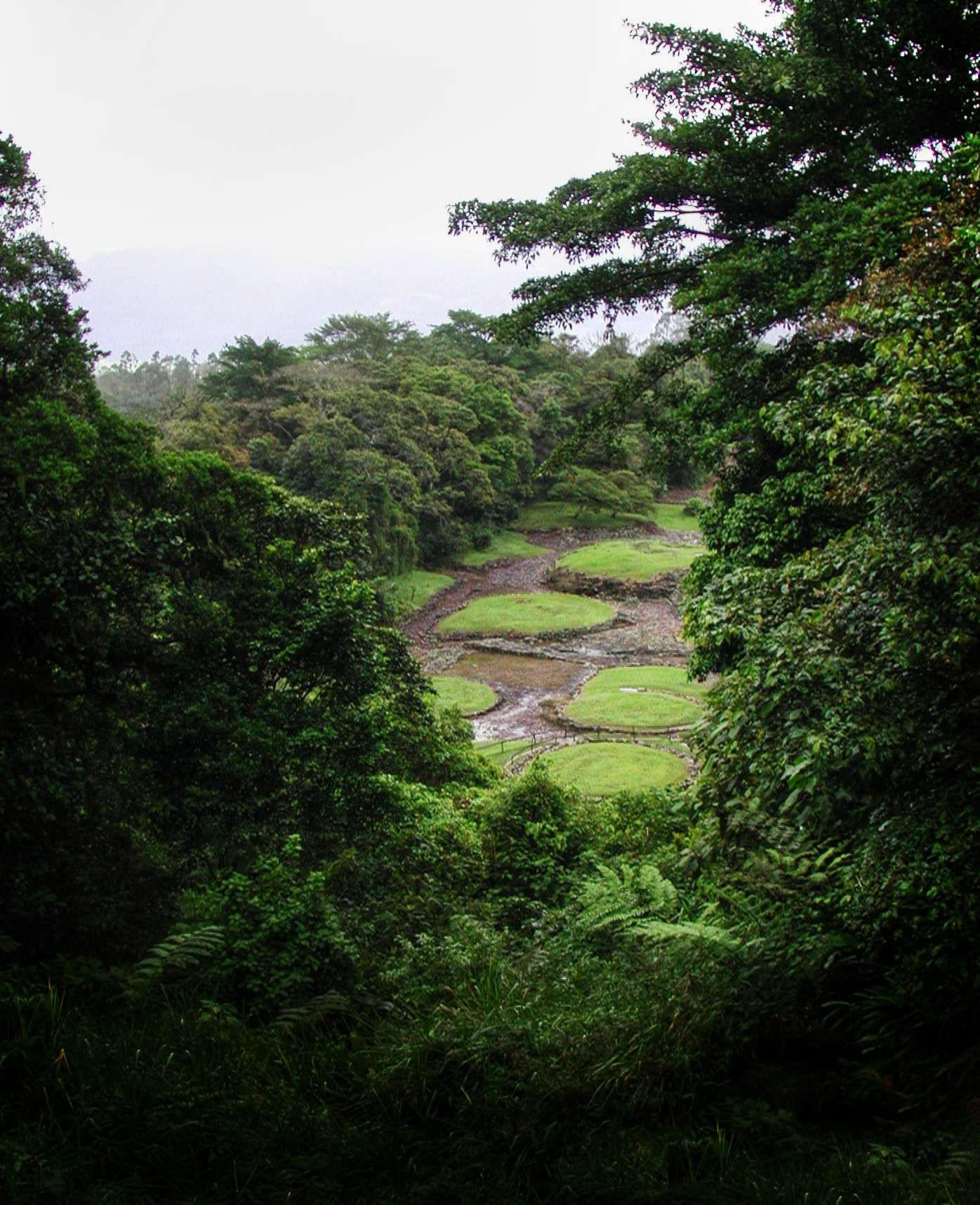 Parque Nacional de Guayabo, en Costa Rica