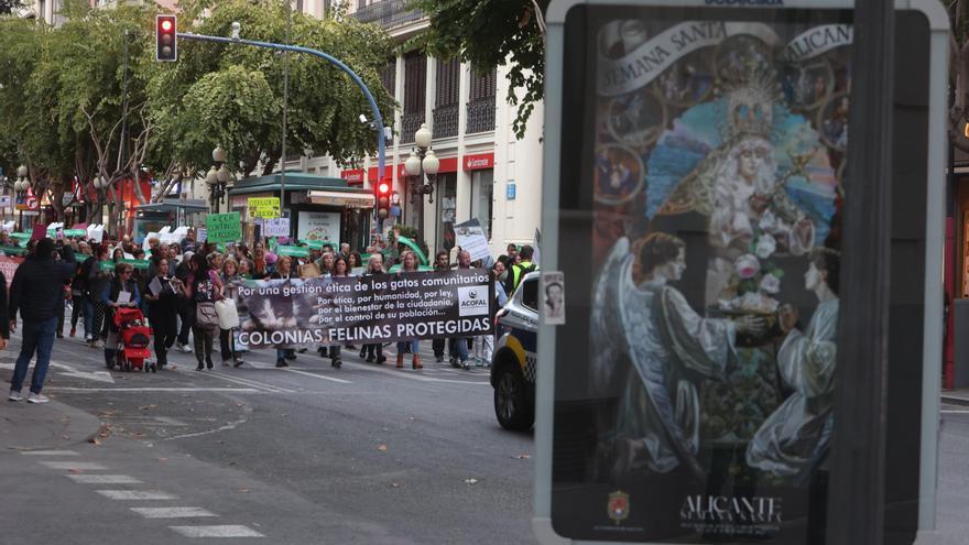 Varias asociaciones salen a las calles para pedir la protección de las colonias de gatos en Alicante