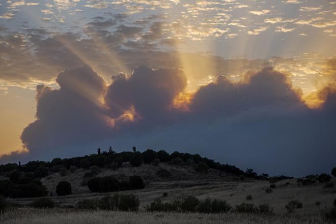 Los incendios de Madrid, con afectaciones en Castilla y León y Castilla-La Mancha, en imágenes