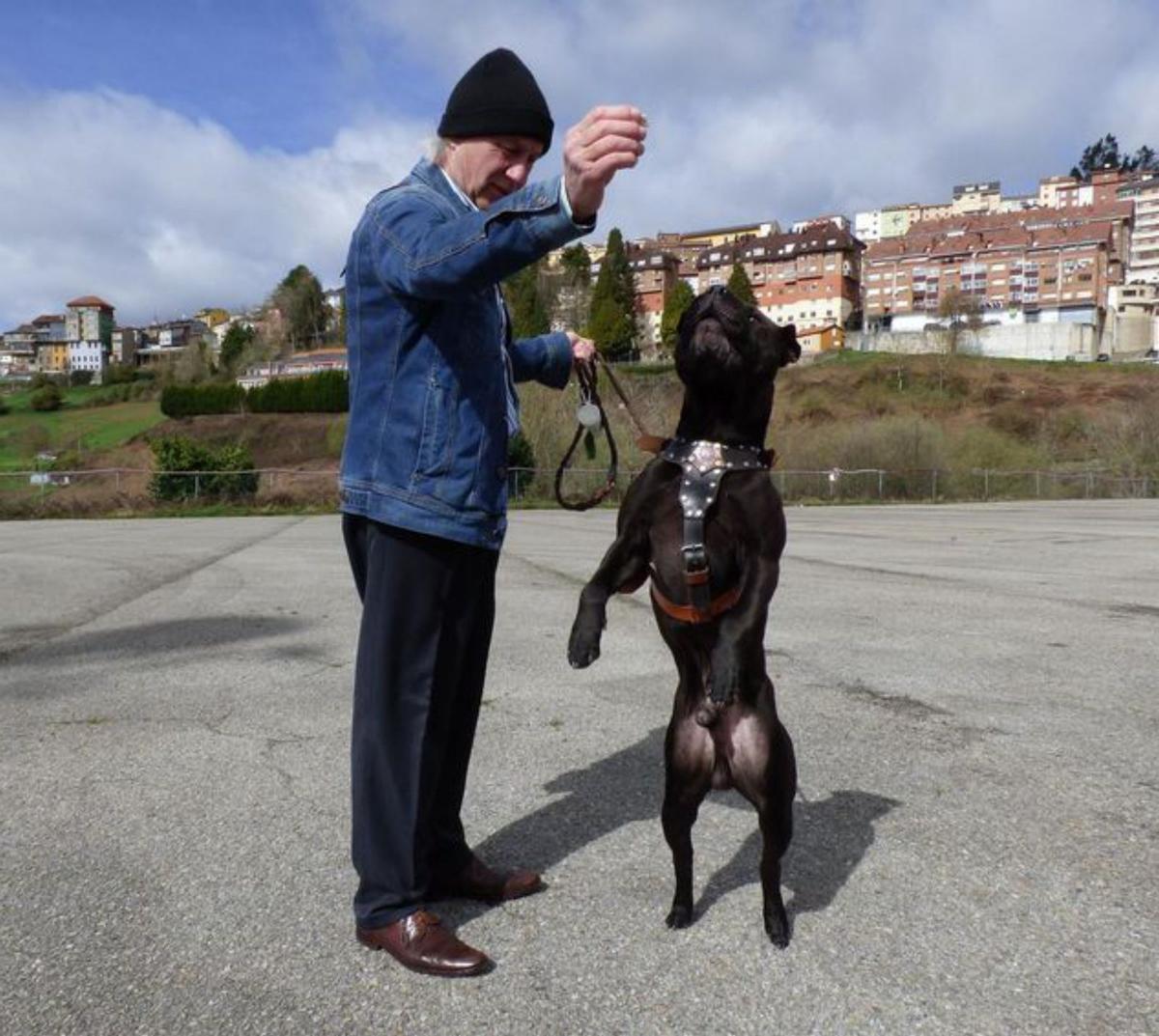 Jorge Saucedo Guirado, director del CIFP de Cerdeño que el domingo recibirá el VII Premio Feria del Perro. Debajo, Andrés García y su perro, «Rol», en la última edición de la feria. 