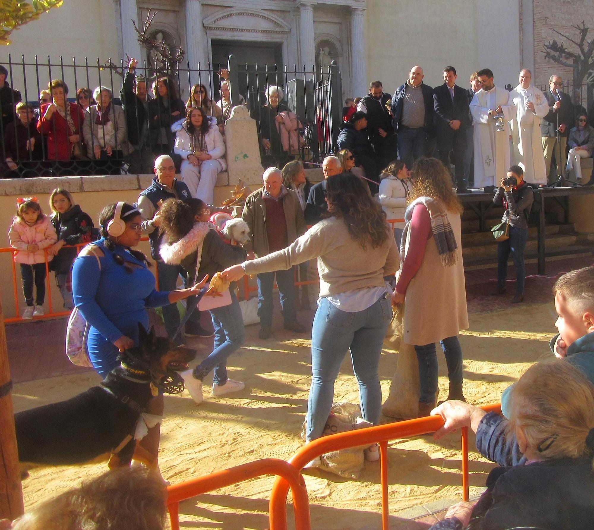 Burjassot bendice a sus animales por Sant Antoni