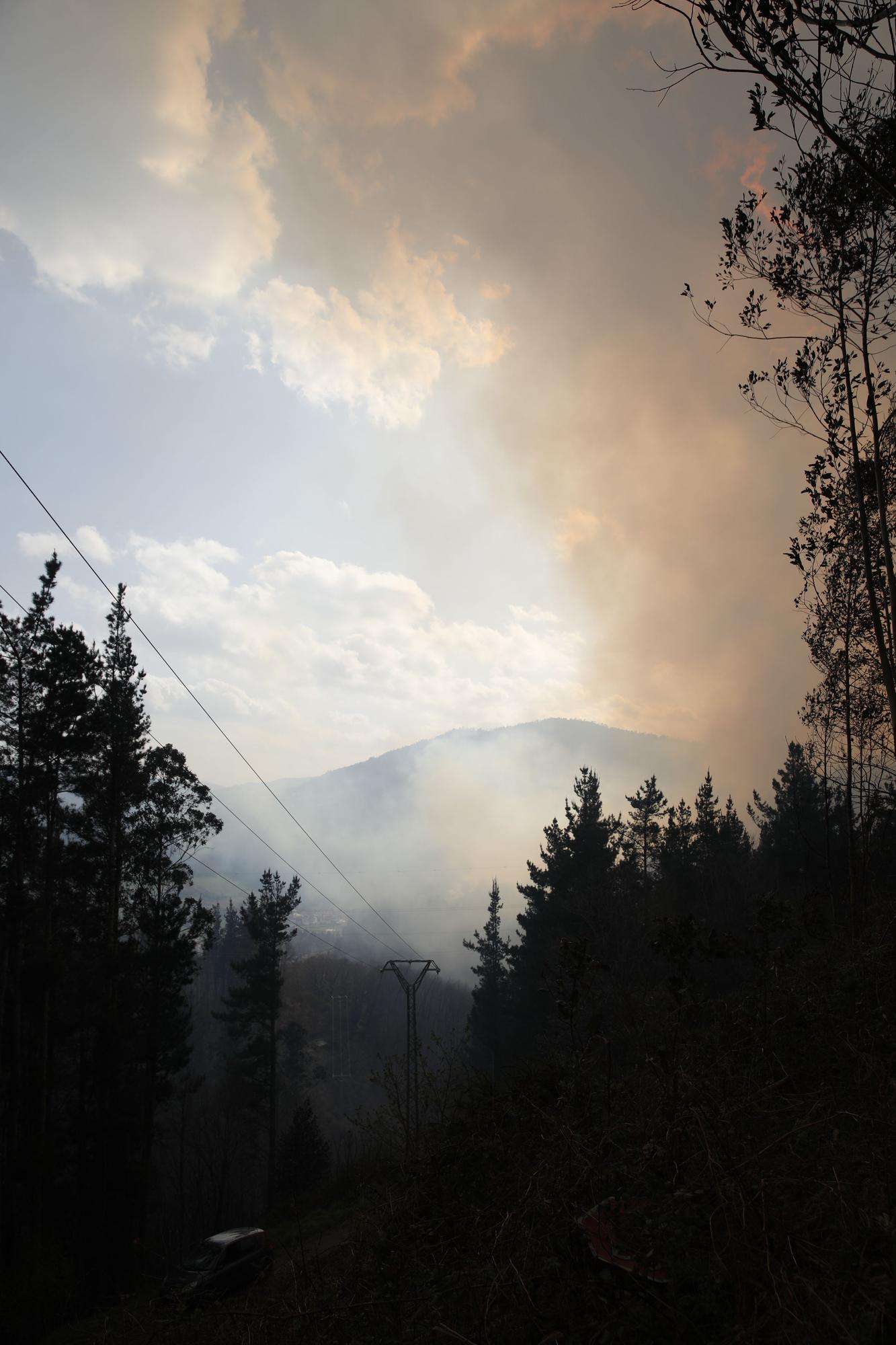 Pinares destruidos en el entorno de Navelgas.