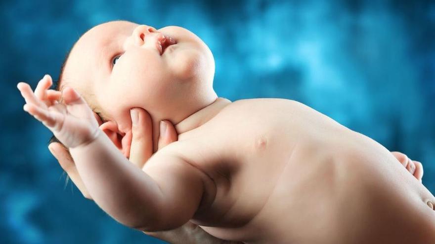 Una placenta artificial buscarà salvar els nadons prematurs extrems