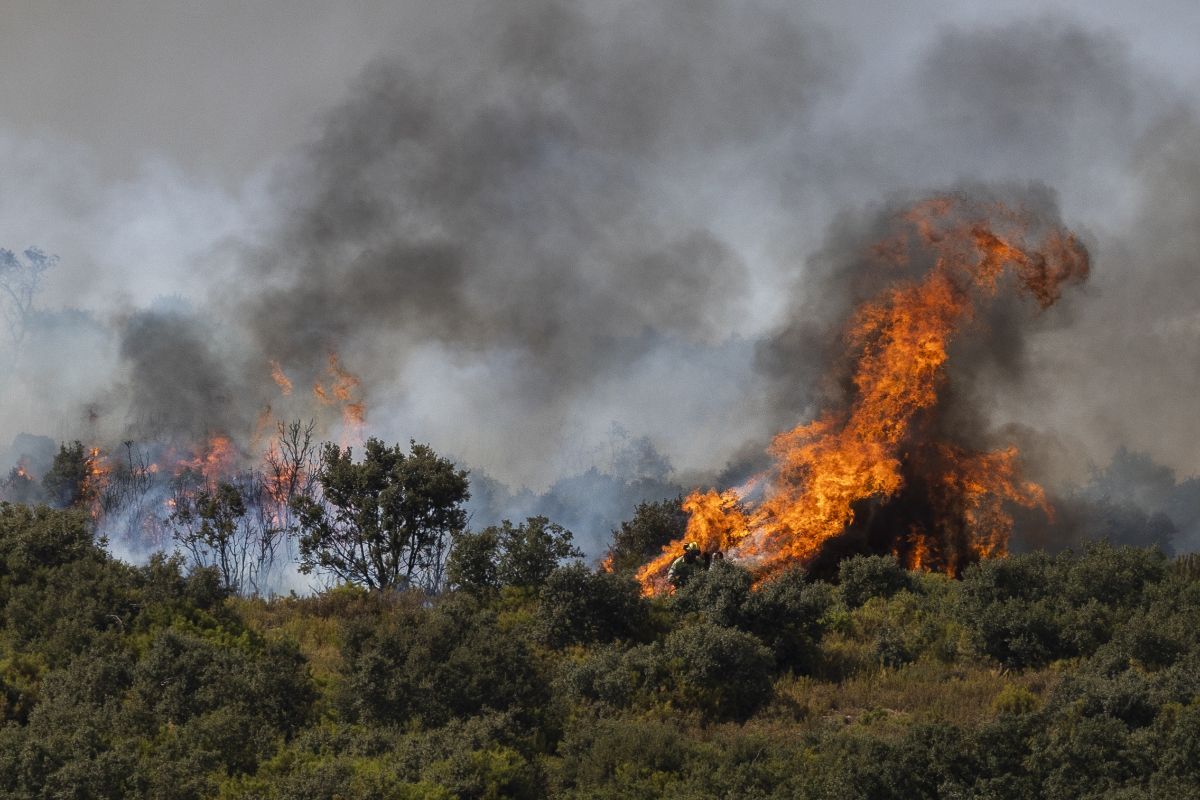 Las imágenes más impactantes del incendio en Bejís