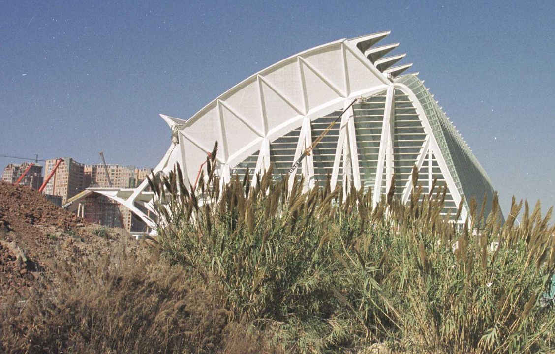 El Museo de las Ciencias cumple 20 años: así fue su construcción