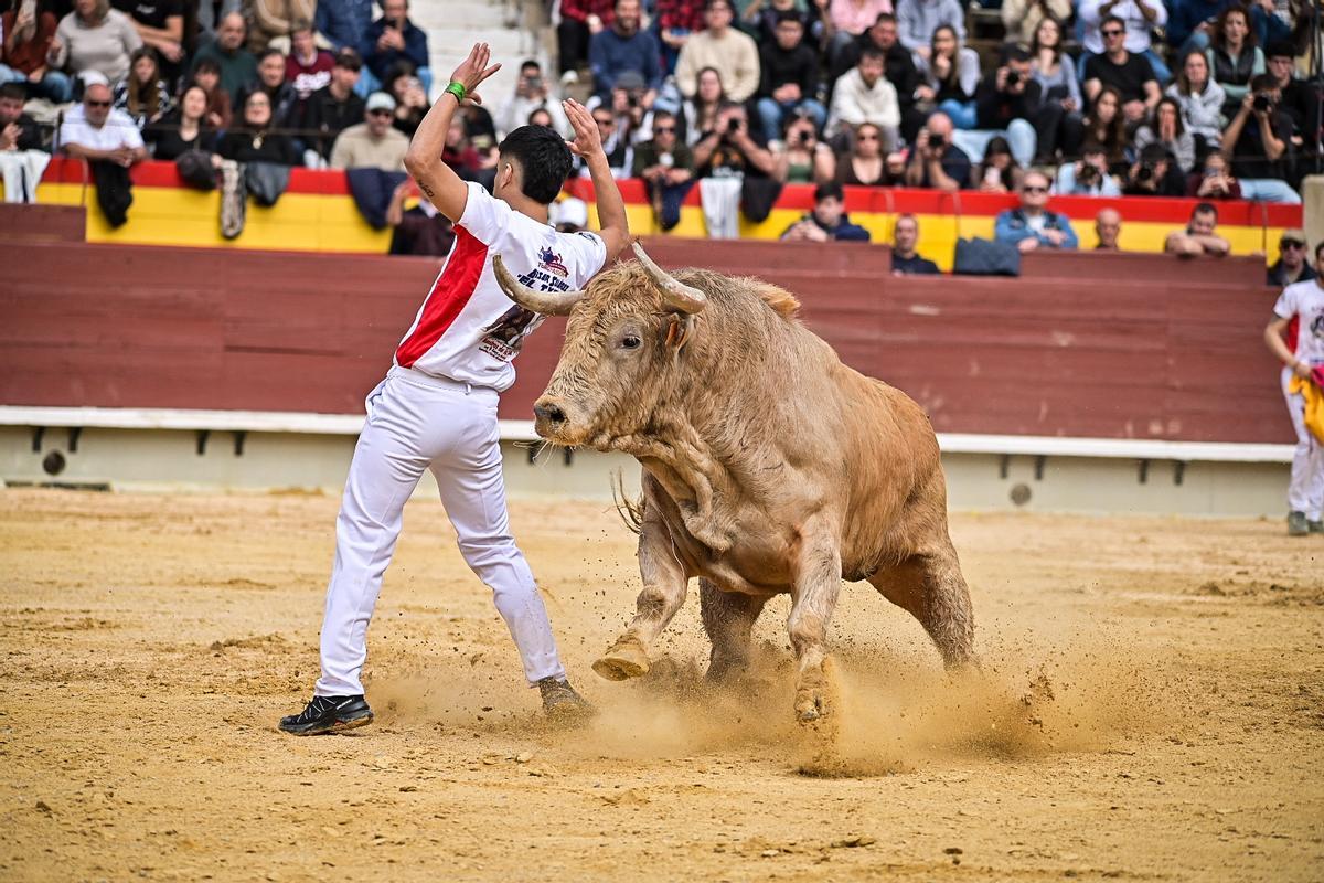Galería de imágenes: Los maestros de la calle toman la plaza de Castelló