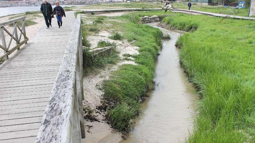 El río Saiñas en la desembocadura en Rodeira.  // Santos Álvarez